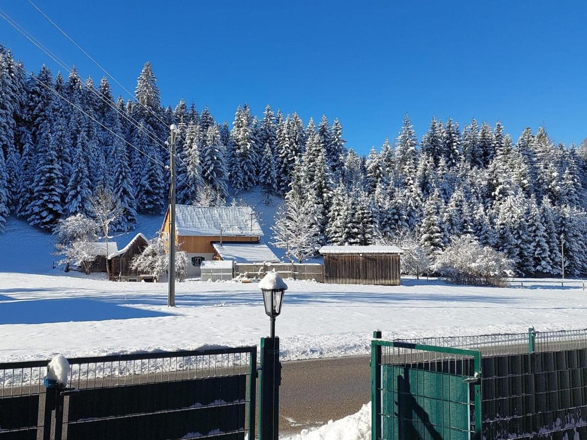 Ferienwohnungen Blockhaus - Zwergenhaeusl Grünau im Almtal Exterior foto